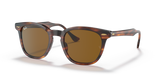 Striped Havana / Brown (954/33)