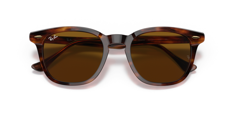 Ray-Ban HAWKEYE in Striped Havana - Alternate View