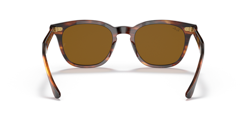 Ray-Ban HAWKEYE in Striped Havana - Alternate View
