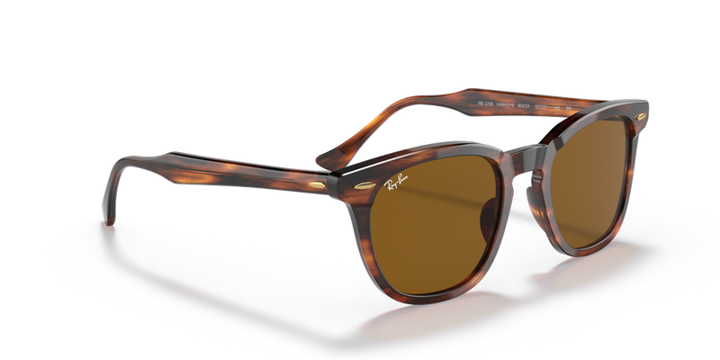 Ray-Ban HAWKEYE in Striped Havana - Alternate View
