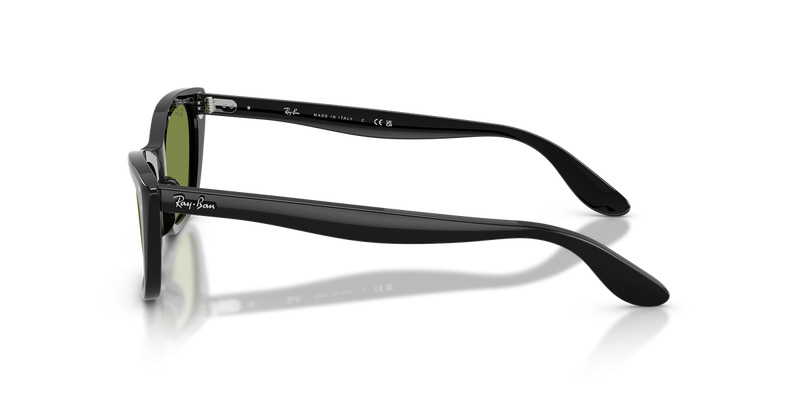 Ray-Ban LADY BURBANK in Black - Back View