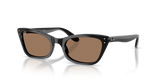 Black / Brown (901/73)