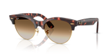 Pink Tortoise On Gold / Clear Gradient Brown (143251)