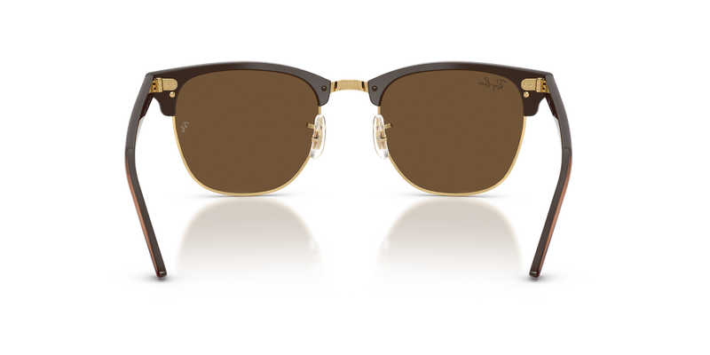Ray-Ban CLUBMASTER in Brown & Gold - Alternate View