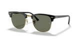 Black / G-15 Green Polarized (901/58)