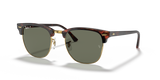 Red Havana / G-15 Green Polarized (990/58)