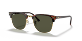 Tortoise On Gold / G-15 Green (W0366)