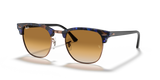 Brown & Blue / Light Brown Gradient (125651)