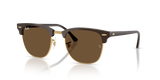 Brown & Gold / Dark Brown (687853)