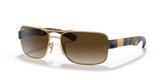 Arista Gold / Brown Gradient (001/13)