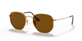 Arista Gold / Brown Polarized (001/57)