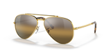 Gold / Silver & Brown Polarized+ (9196G5)