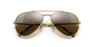 Gold / Silver & Brown Polarized+ (9196G5)