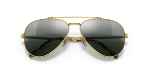Gold / Silver/Blue Polarized+ (9196G6)