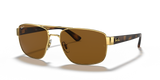 Arista Gold / Brown Polarized (001/57)