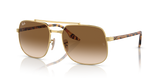 Arista Gold / Brown (001/51)