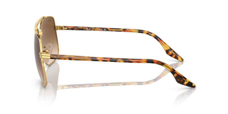 Ray-Ban RB3699 in Arista Gold - Back View