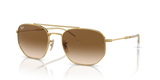 Arista Gold / Brown (001/51)