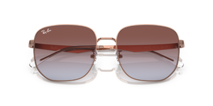 Rose Gold / Violet (9202I8)