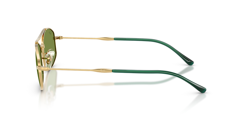 Ray-Ban RB3719 in Arista Gold / Green (001/4E) - Back View