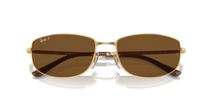 Arista Gold / Brown Polarized (001/57)