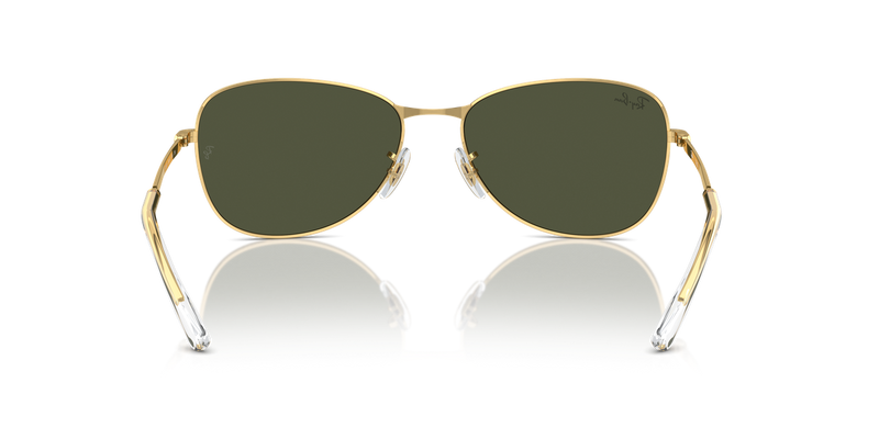 Ray-Ban RB3733 in Arista Gold - Temple Detail