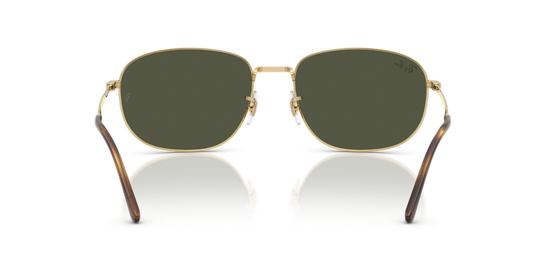 Ray-Ban RB3754 in Arista Gold - Temple Detail