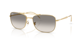 Arista Gold / Clear Gradient Grey (001/32)