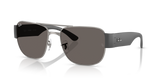 Gunmetal / Dark Grey (004/B1)