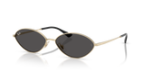 Pale Gold / Dark Grey (921387)