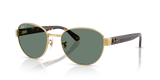 Arista Gold / Polarized+ Grey (001/O9)