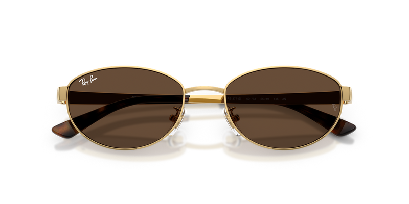 Ray-Ban RB3774D in Arista Gold / Dark Brown (001/73) - Alternate View