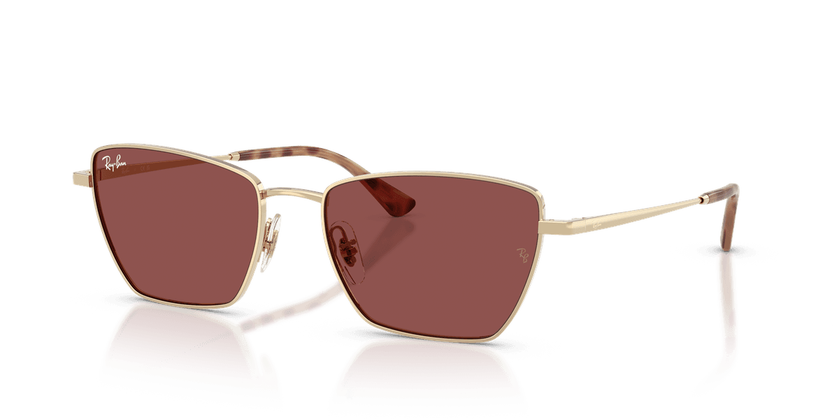 Ray-Ban RB3783