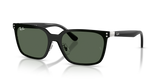 Silver / Dark Green (003/71)