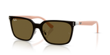 Silver / Dark Brown (003/73)