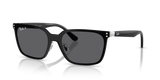 Silver / Grey Polarized (003/81)