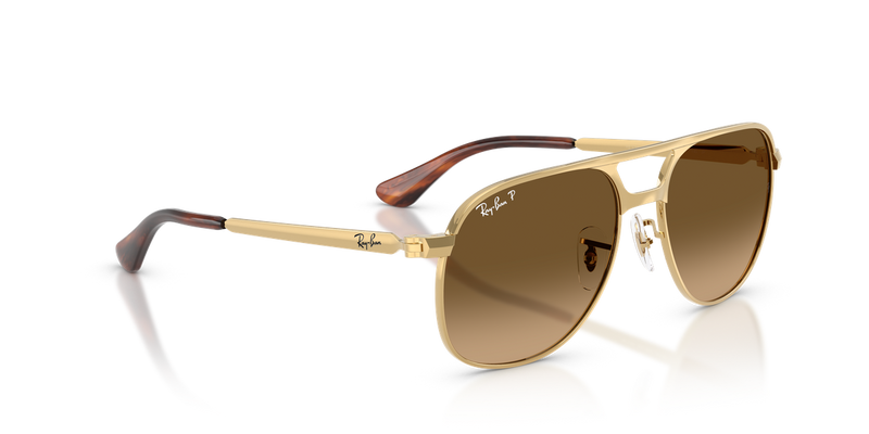 Ray-Ban BILL MAX in Arista - Alternate View