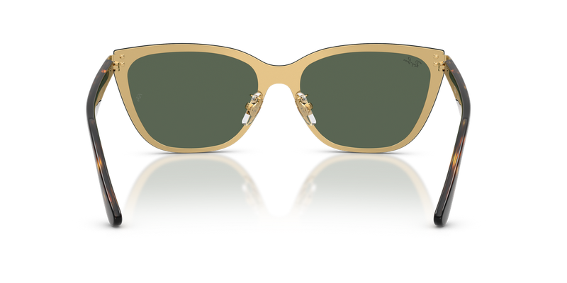 Ray-Ban RB3798D in Gold - Temple Detail