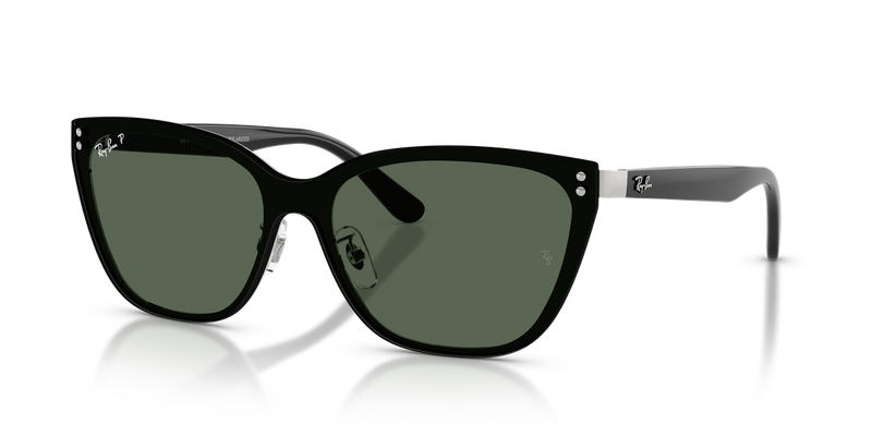 Ray-Ban RB3798D in Silver - Alternate View