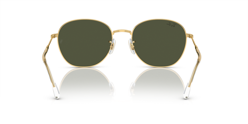 Ray-Ban RB3809 in Arista Gold - Temple Detail