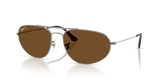 Gunmetal / Brown Polarized (004/57)