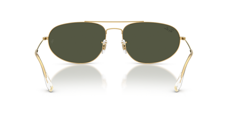 Ray-Ban RB3945 in Legend Gold / Green (919631) - Alternate View