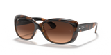 Havana / Pink/Brown Gradient (642/A5)
