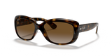 Light Havana / Brown Polarized (710/T5)