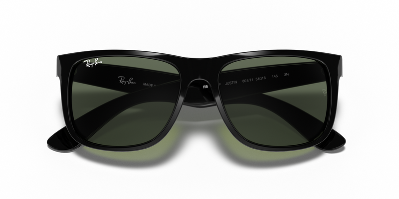 Ray-Ban JUSTIN in Black - Alternate View