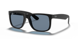 Rubber Black / Blue Polarized (622/2V)