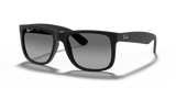 Rubber Black / Grey Polarized (622/T3)