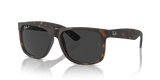 Havana / Dark Grey Polarized (865/87)