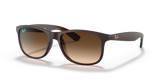 Brown / Brown Gradient (607313)