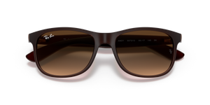 Brown / Brown Gradient (607313)